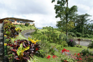 A wide curving driveway leads through tropical landscaping to the restaurant. 